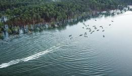Sam Rayburn Reservoir