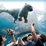 Pittsburgh Zoo and PPG Aquarium - Education Complex