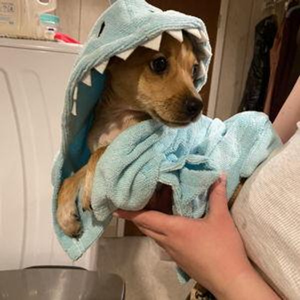 Benny