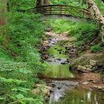 Botanical Gardens