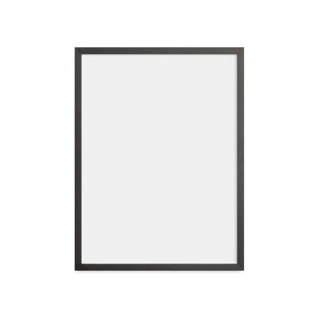 Wood Poster Frame, 18x24 - Black