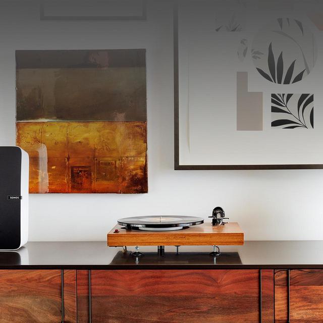 Sonos Pro Vinyl