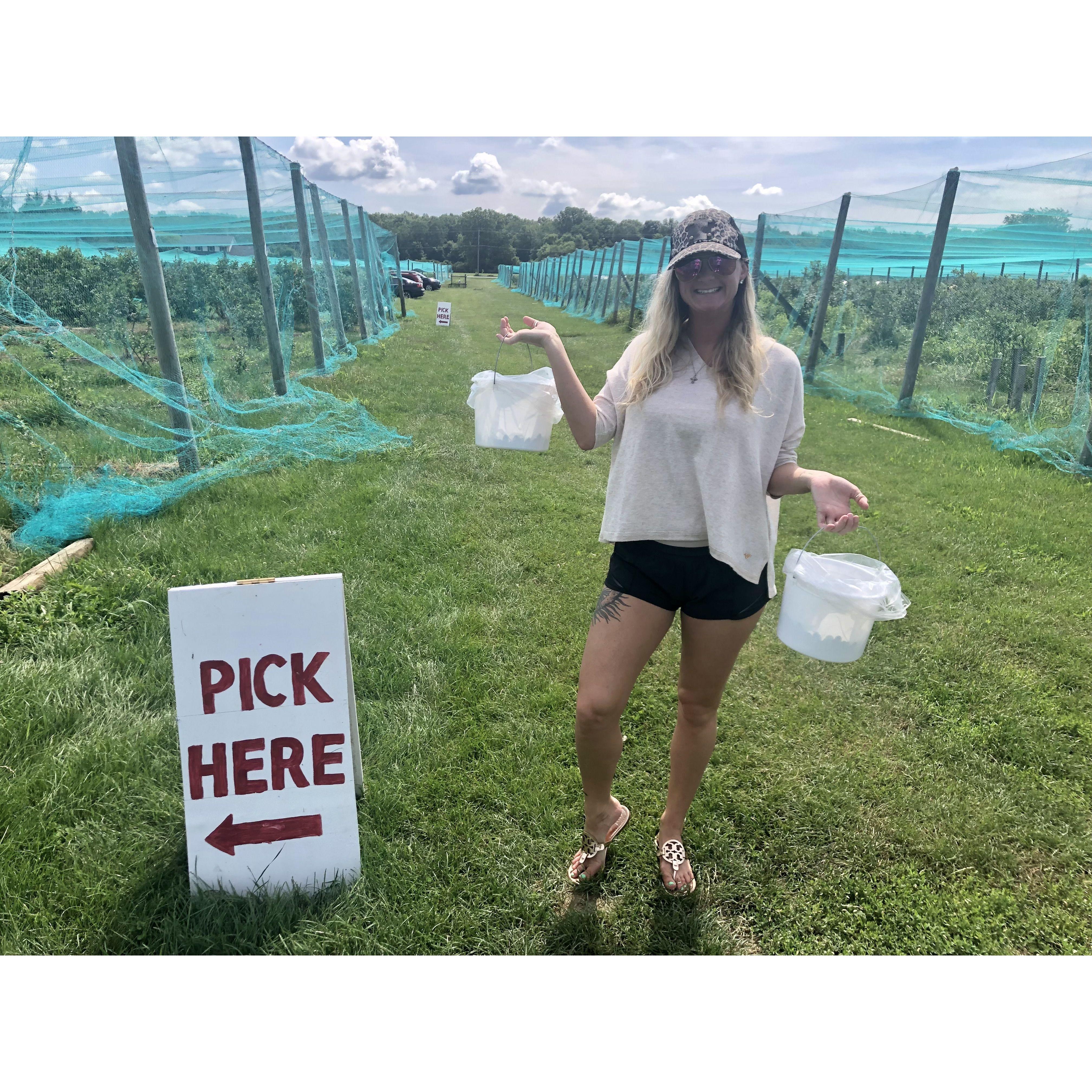 Picking Berries at Baumharts