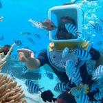 Helmet Diving Tour