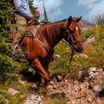 Horseback Riding in Swan Valley
