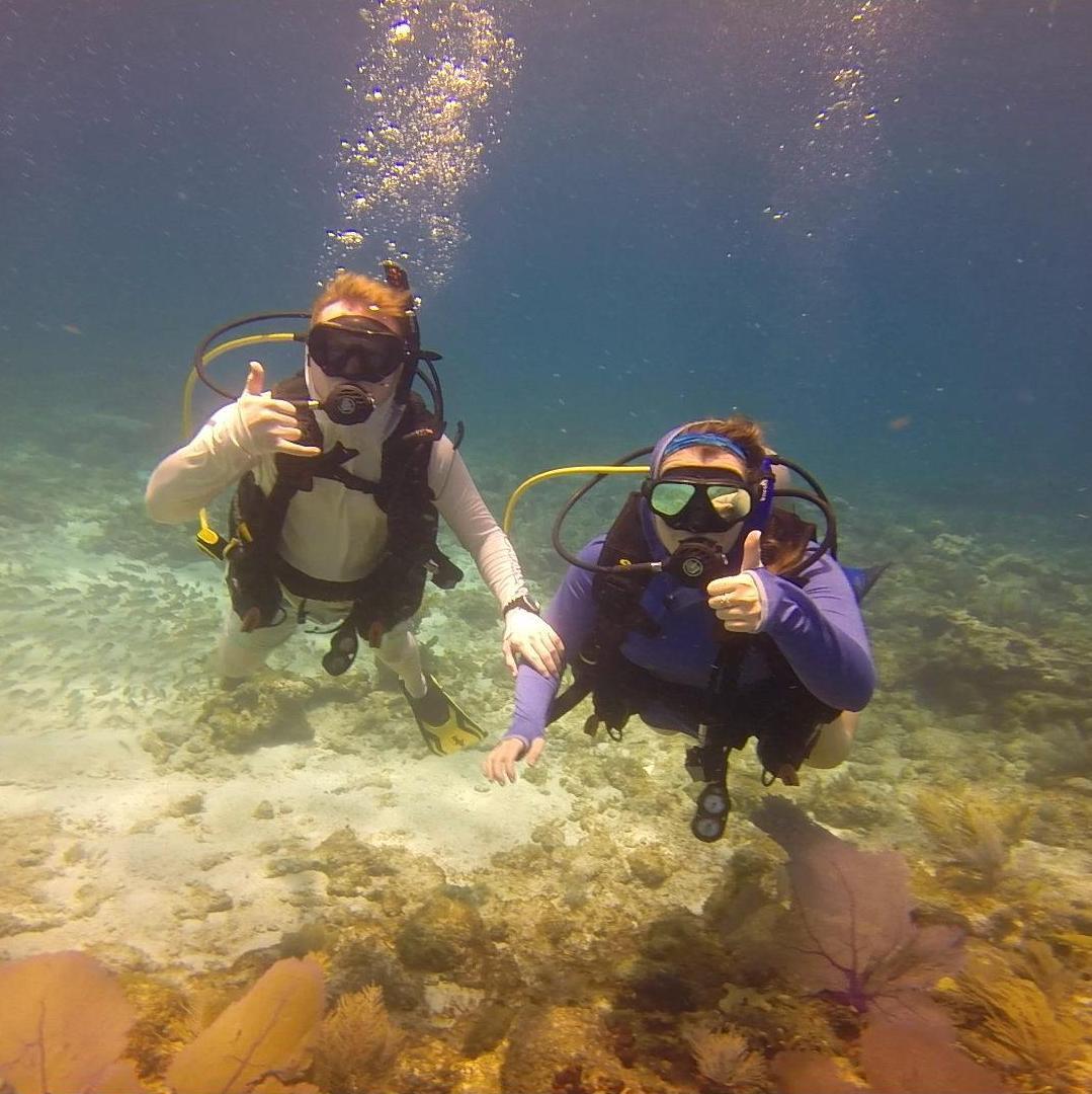 Davis's Reef