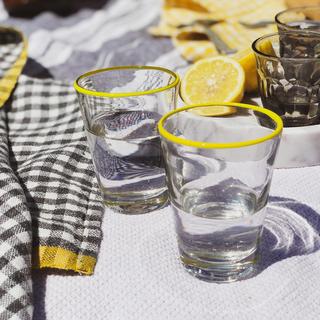 Color Pop Juice Glass, Set of 4