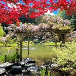 Washington Park Arboretum