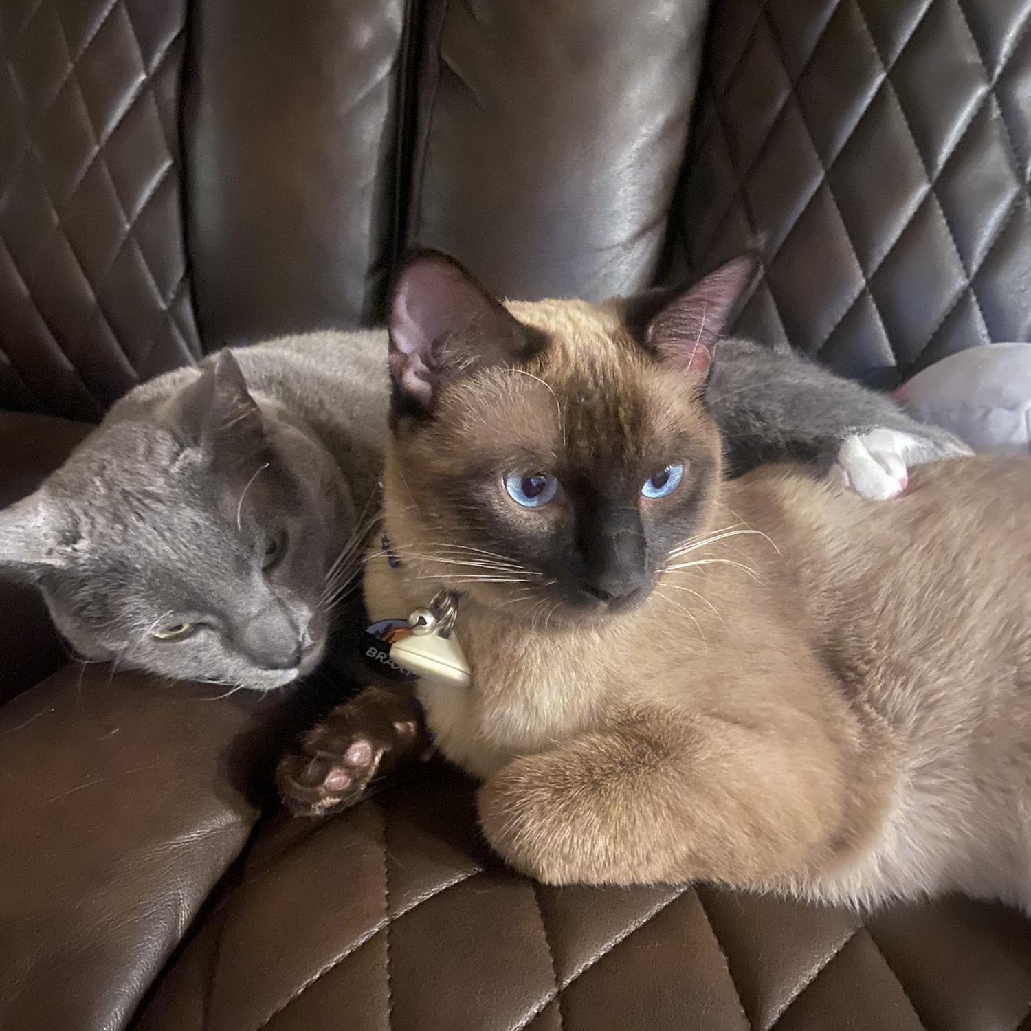 They love each other. Sometimes…