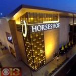 Horseshoe Hammond