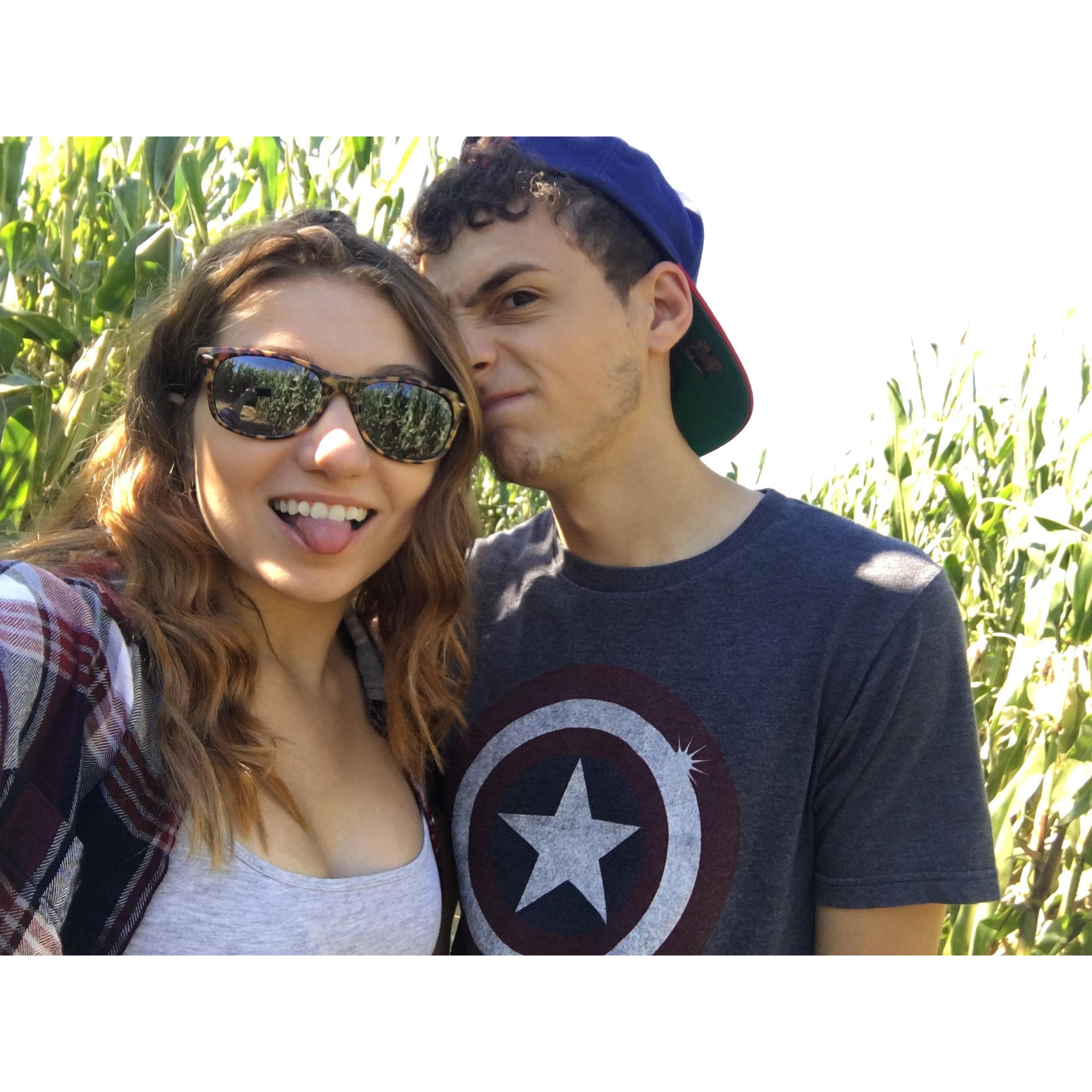 Corn Maze 2015