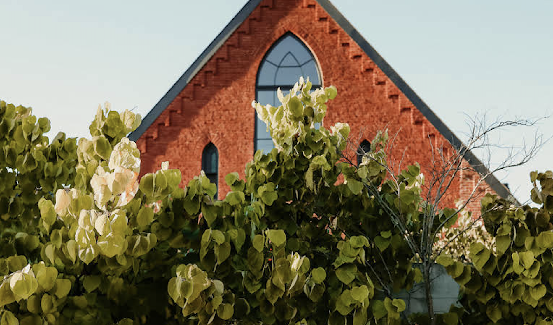 The Wedding Website of Maggie Trabucco and JB Horn