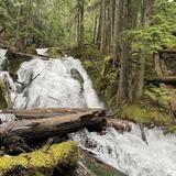 Little Zigzag Falls Trailhead