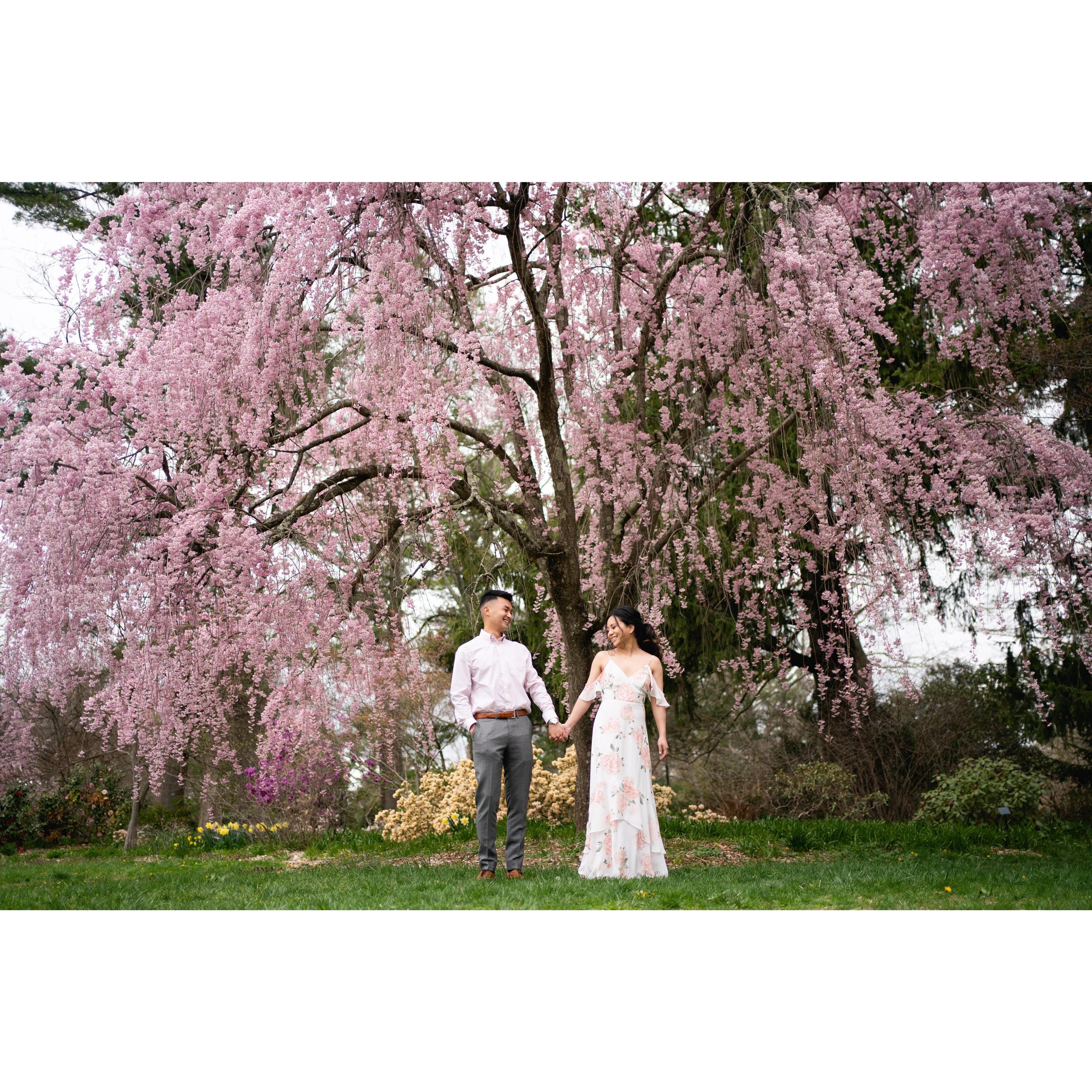 4/17/21 - Engagement photo shoot at Planting Fields Arboretum