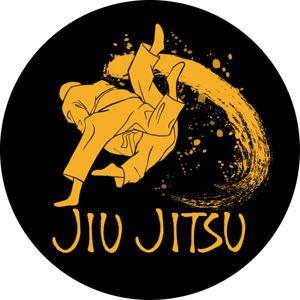 Jiu Jitsu Classes for Gavin
