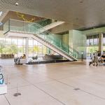 Tampa Museum of Art