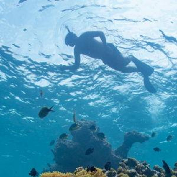 Snorkeling Journey