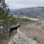 Wu Ledges Town Forest