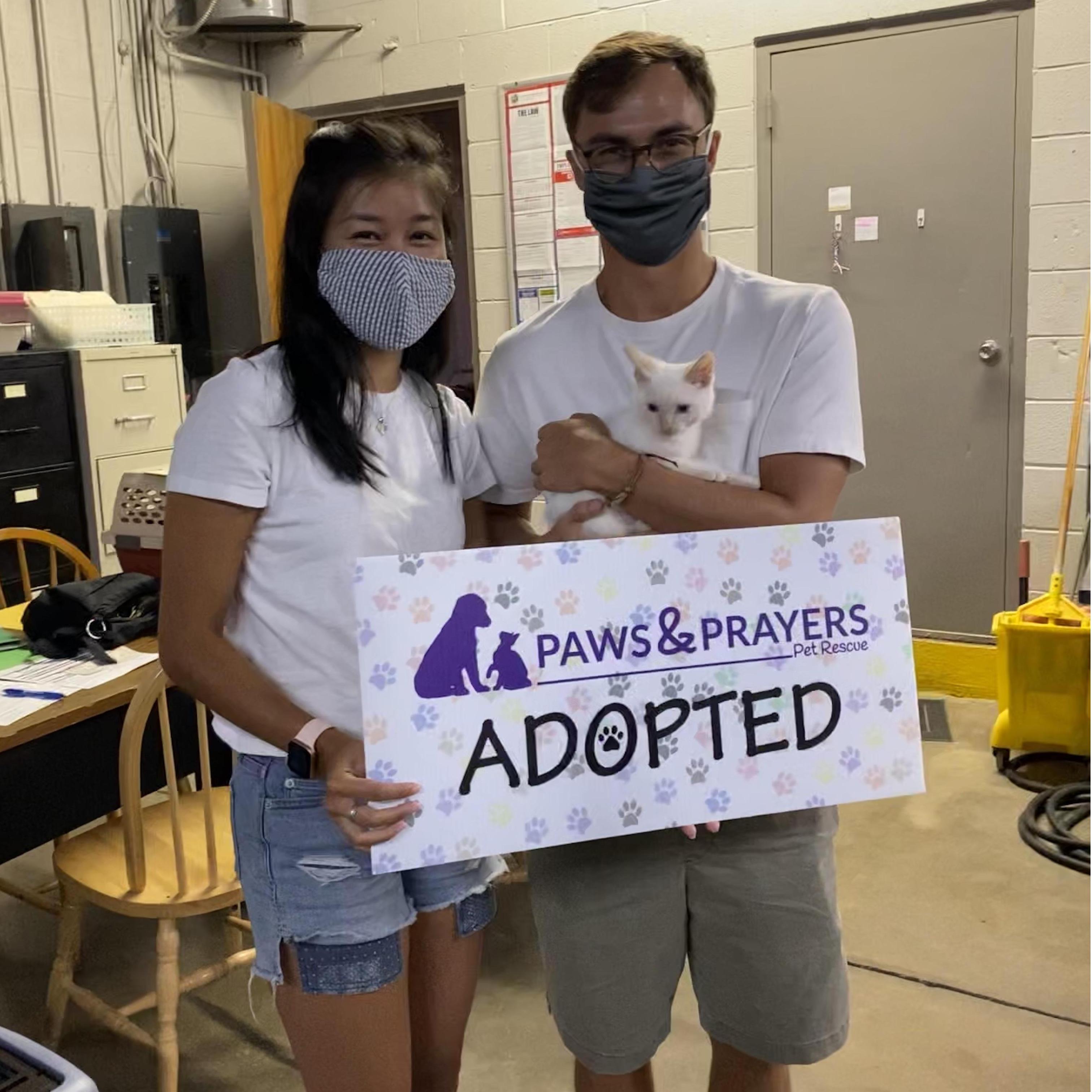 Adopting baby Miso!