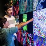 The Franklin Institute