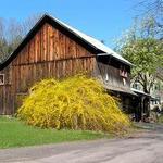 Ol Country Barn