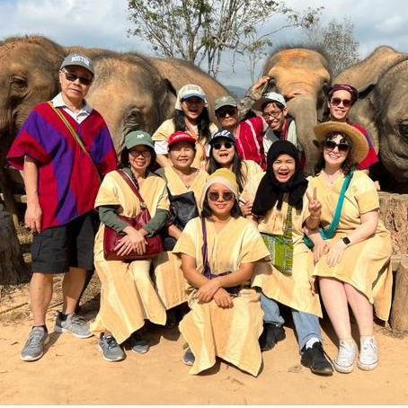 Hanging with elephants in Thailand