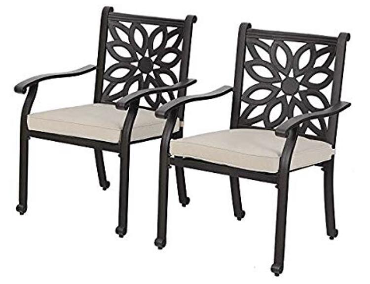 PHI VILLA Outdoor Patio Extra Wide Armrest Cast Aluminum Dining Chairs with Cushion Set of 2 - Frosted Surface