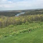 Prince Gallitzin State Park