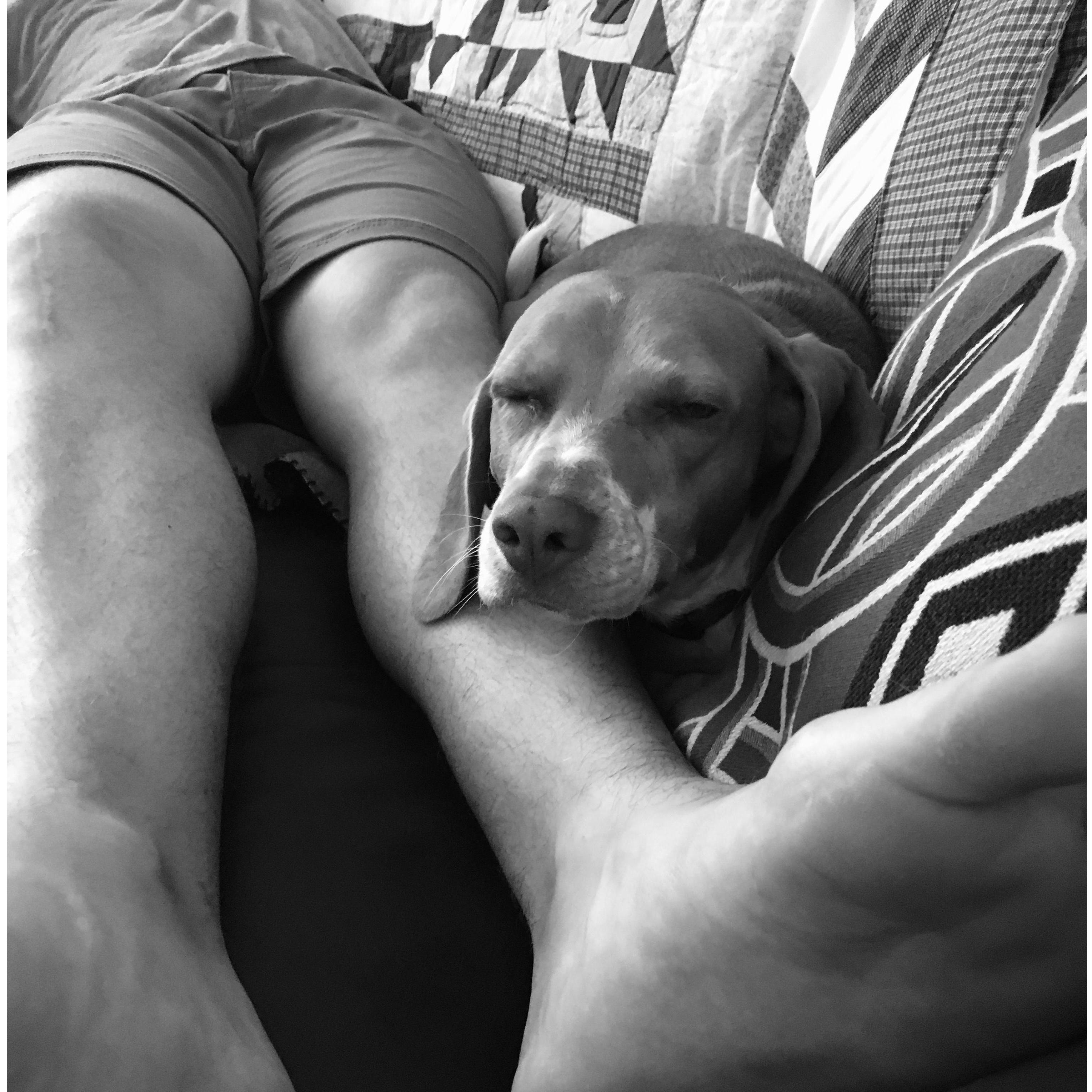 Bubby and Dad. This is how you will find them most days. Napping on the couch.