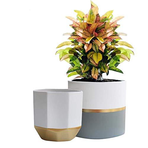 White Ceramic Flower Pot Garden Planters 6.5&quot; Pack 2 Indoor, Plant Containers with Gold and Grey Detailing