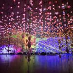 The Museum of Fine Arts, Houston
