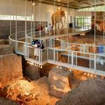 Waco Mammoth National Monument