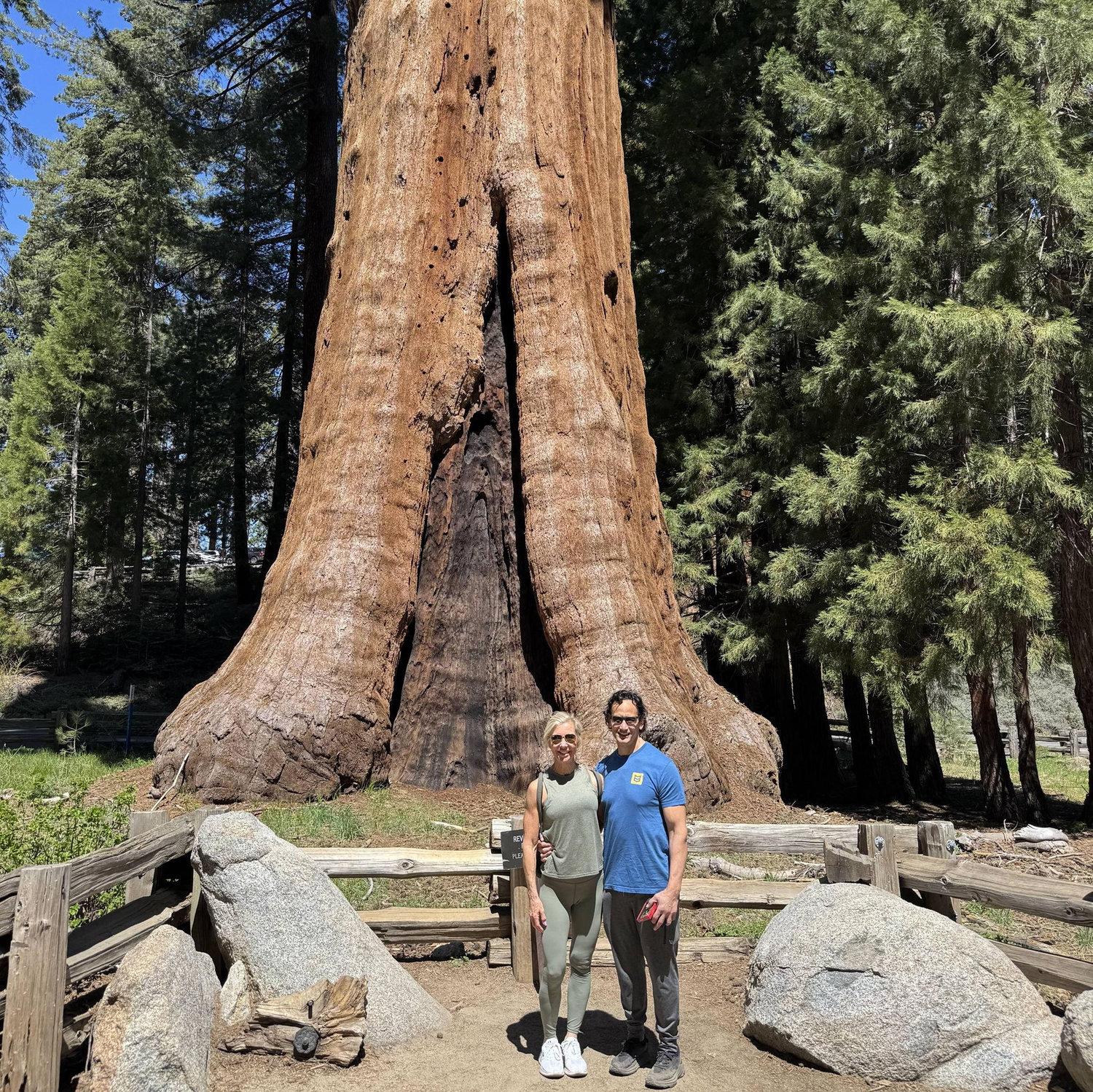 Sequoia National Park, CA