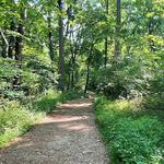 Wincopin Trails