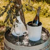 Woodinville Wine Tasting