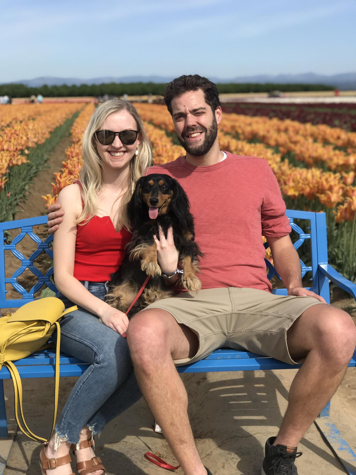 Tulip Festival 2019