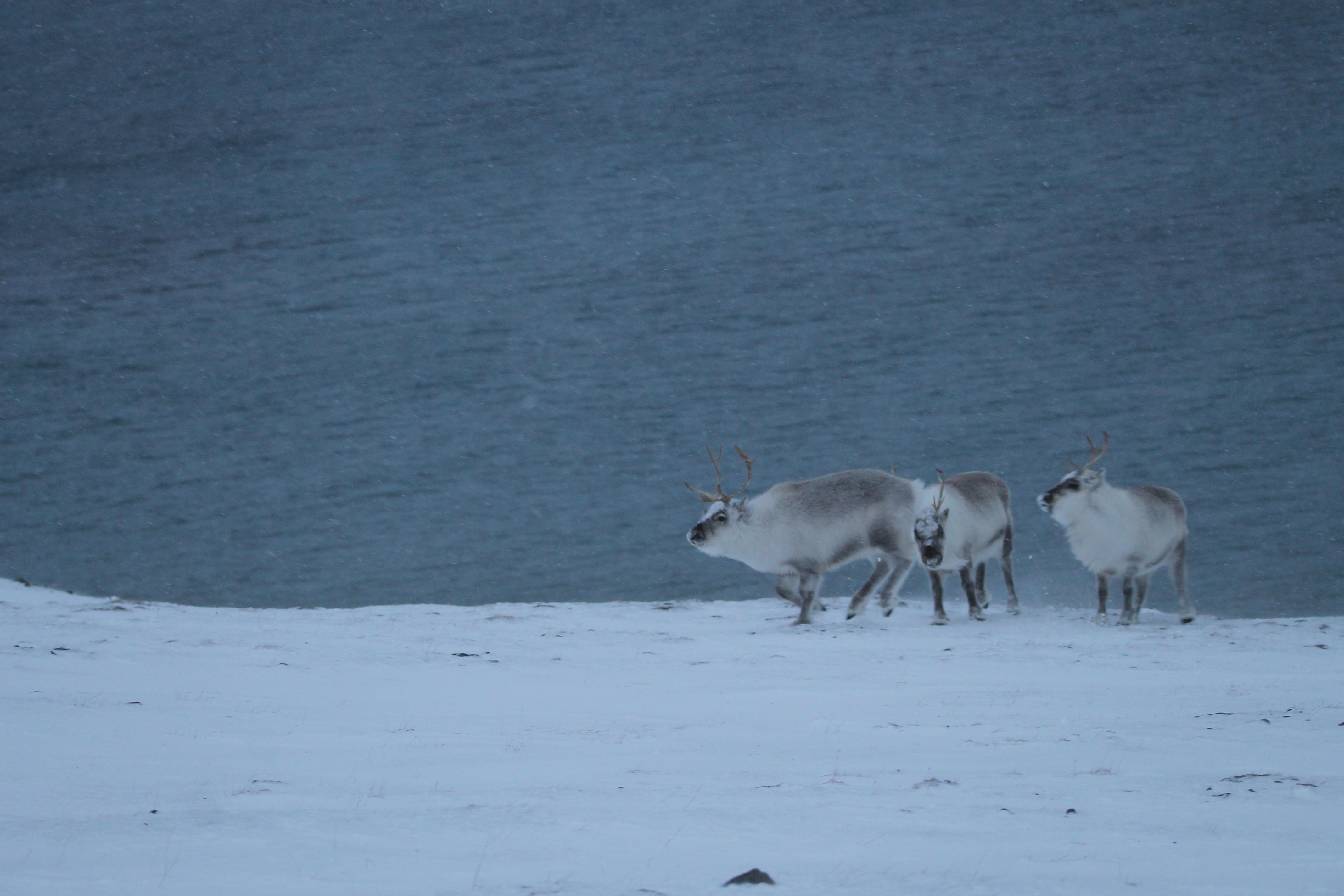 The Wedding Website of Kyrstin Schwarz and Jeff Galvin