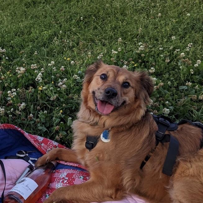 Our favorite girl.