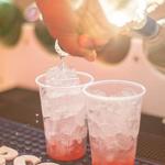 Sunset Party Cruise in Los Cabos aboard the Pez Gato