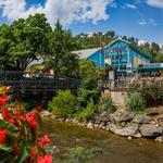 Ripley's Aquarium of the Smokies
