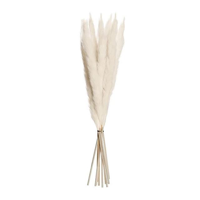Pampas Grass Décor, 15 Fluffy Stems, 24 Inches Tall Artificial Pampas Grass, Shed-Free Artificial Plants for Boho Room Décor, Living Room Décor, and Wedding Decorations, Cream/Beige