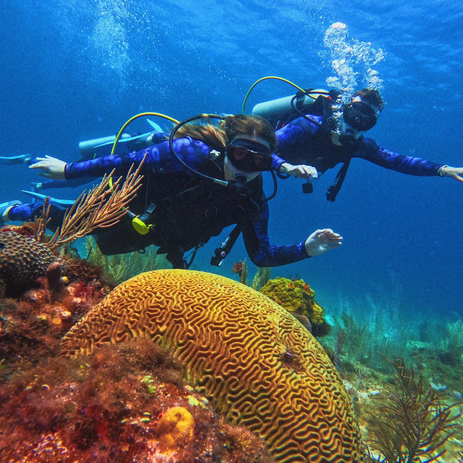 First time Scuba diving!