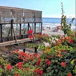 Restaurate "Los Pelicanos"