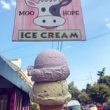 Moo Hope Ice Cream