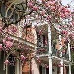 Lower Garden District