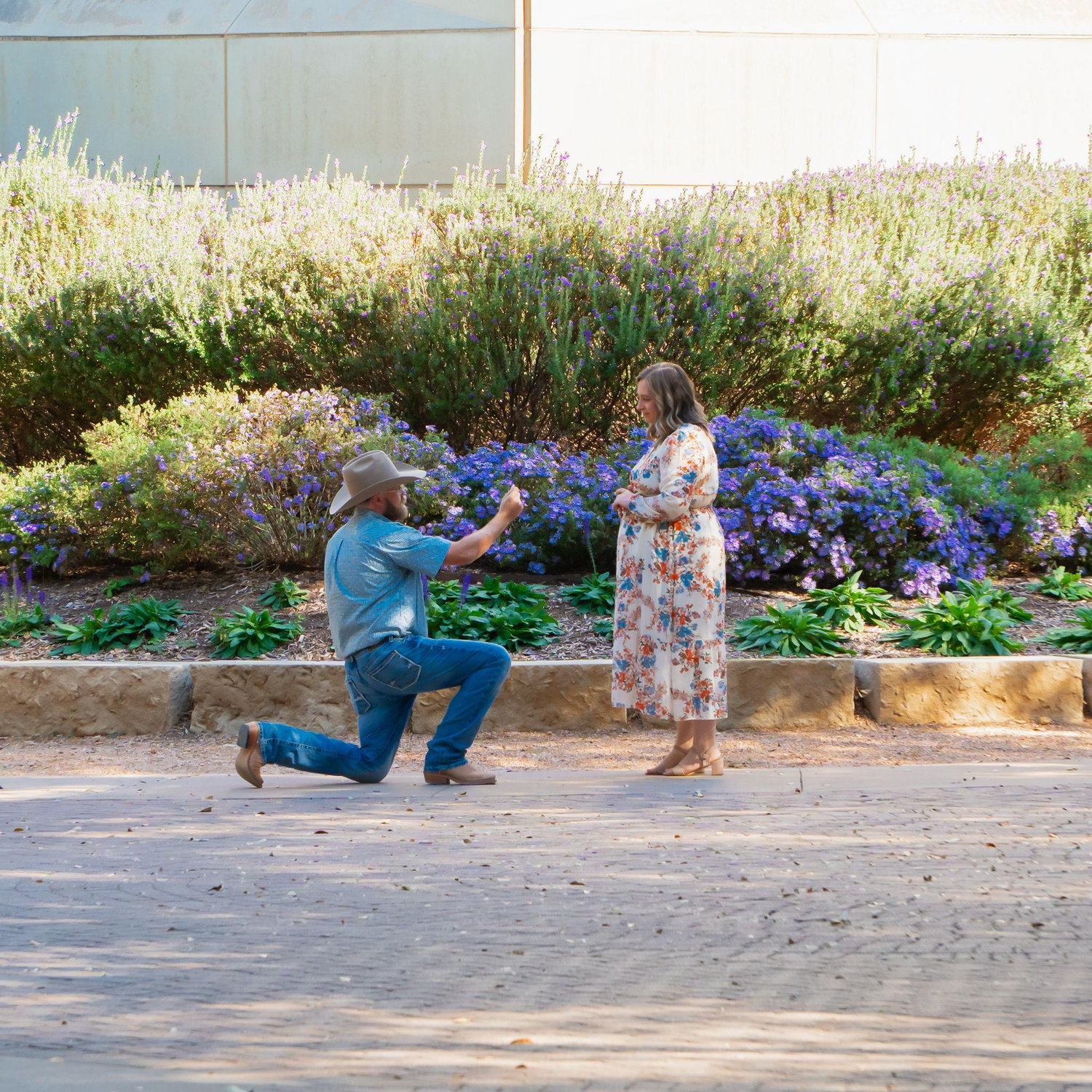 The Proposal 11.16.25