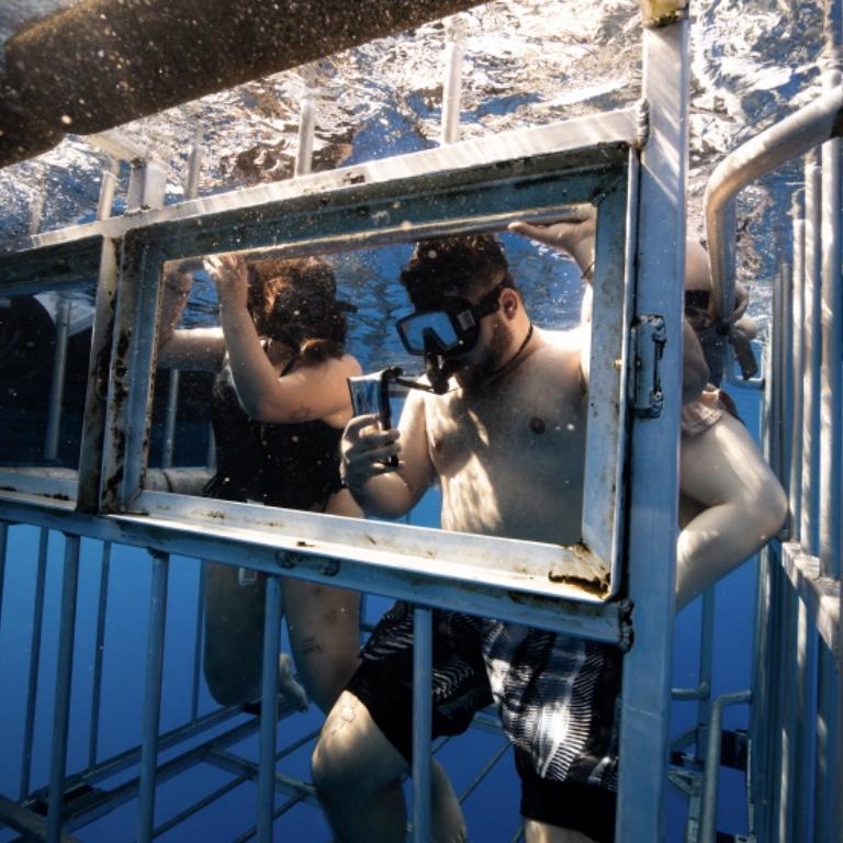 First Hawaii trip together. Cage Diving with SHARKS!!
