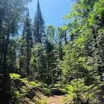 Sturgeon River Preserve