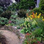 San Francisco Botanical Garden
