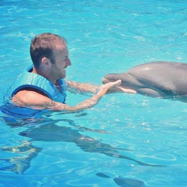 Swimming with the dolphins in Mexico